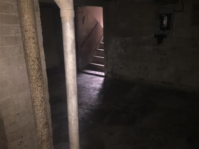 6346 Pelouze basement 4.jpeg